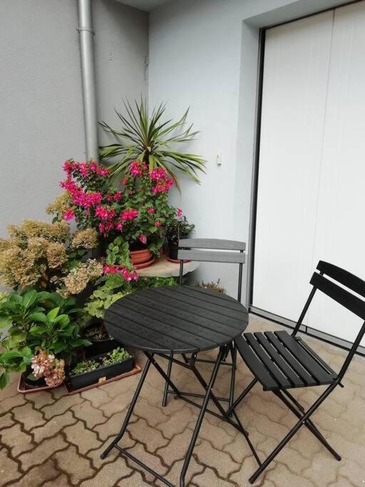 Gite Haury Cleebourg Exterior foto